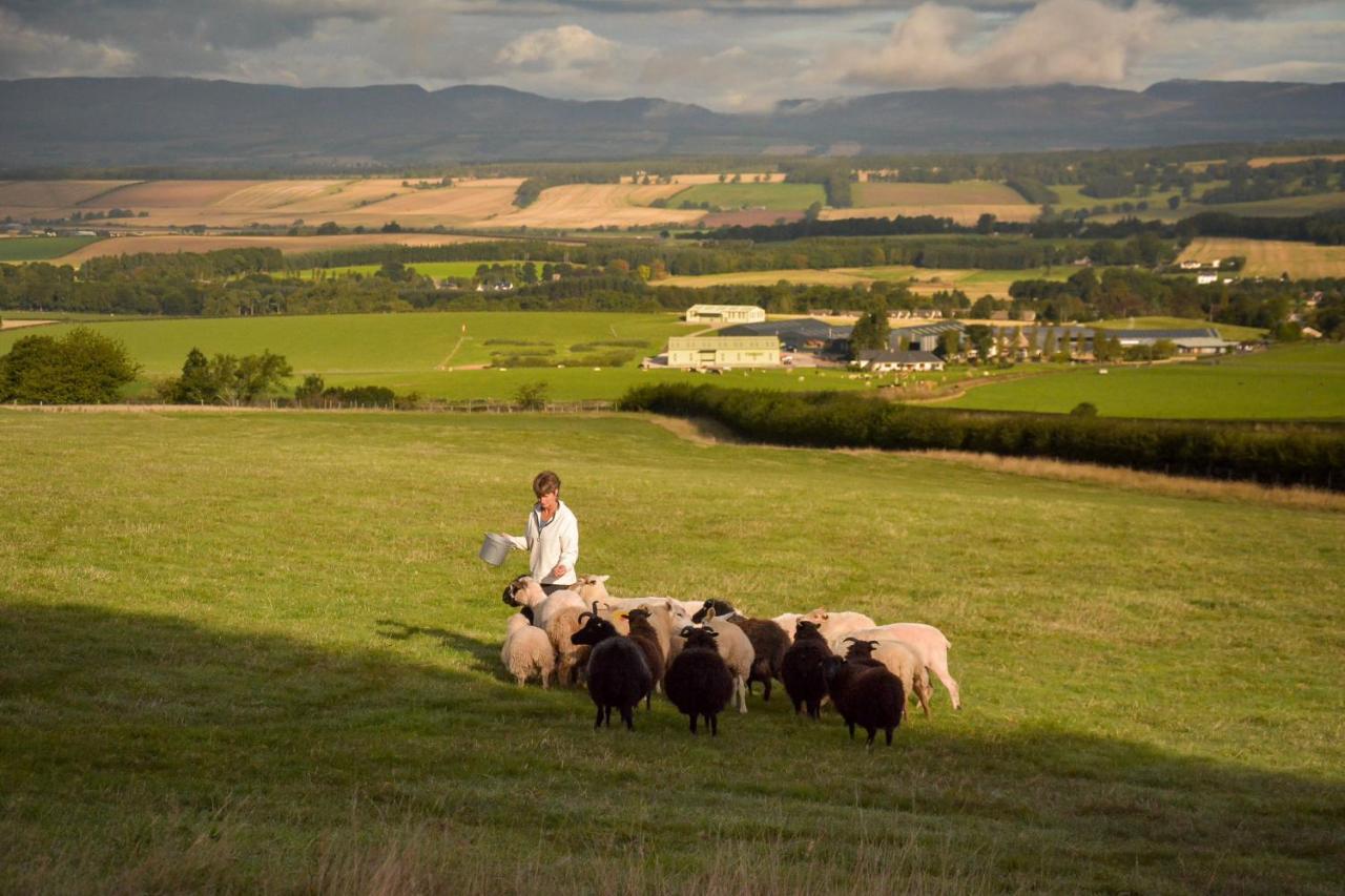 فيلا The Steading At Pitmeadow Farm Dunning المظهر الخارجي الصورة