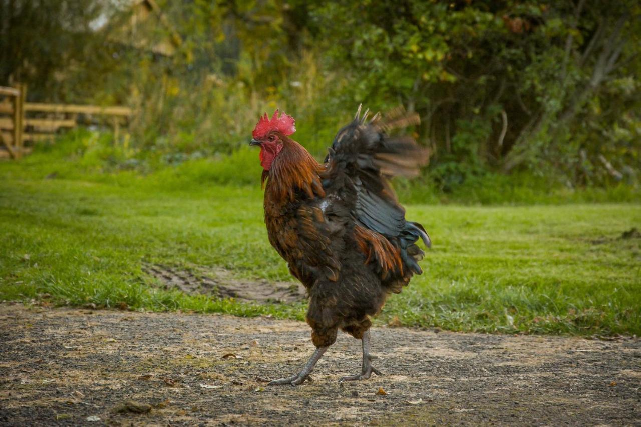 فيلا The Steading At Pitmeadow Farm Dunning المظهر الخارجي الصورة