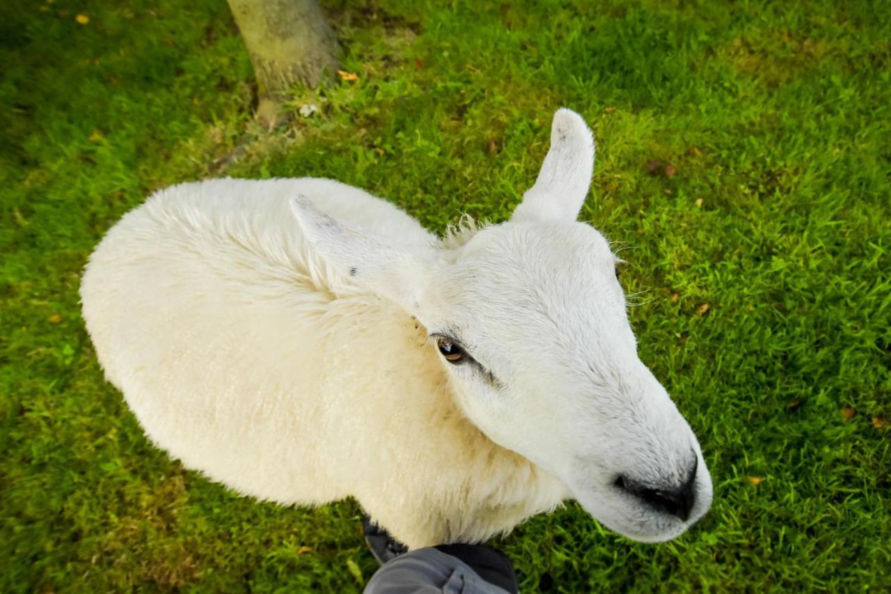 فيلا The Steading At Pitmeadow Farm Dunning المظهر الخارجي الصورة